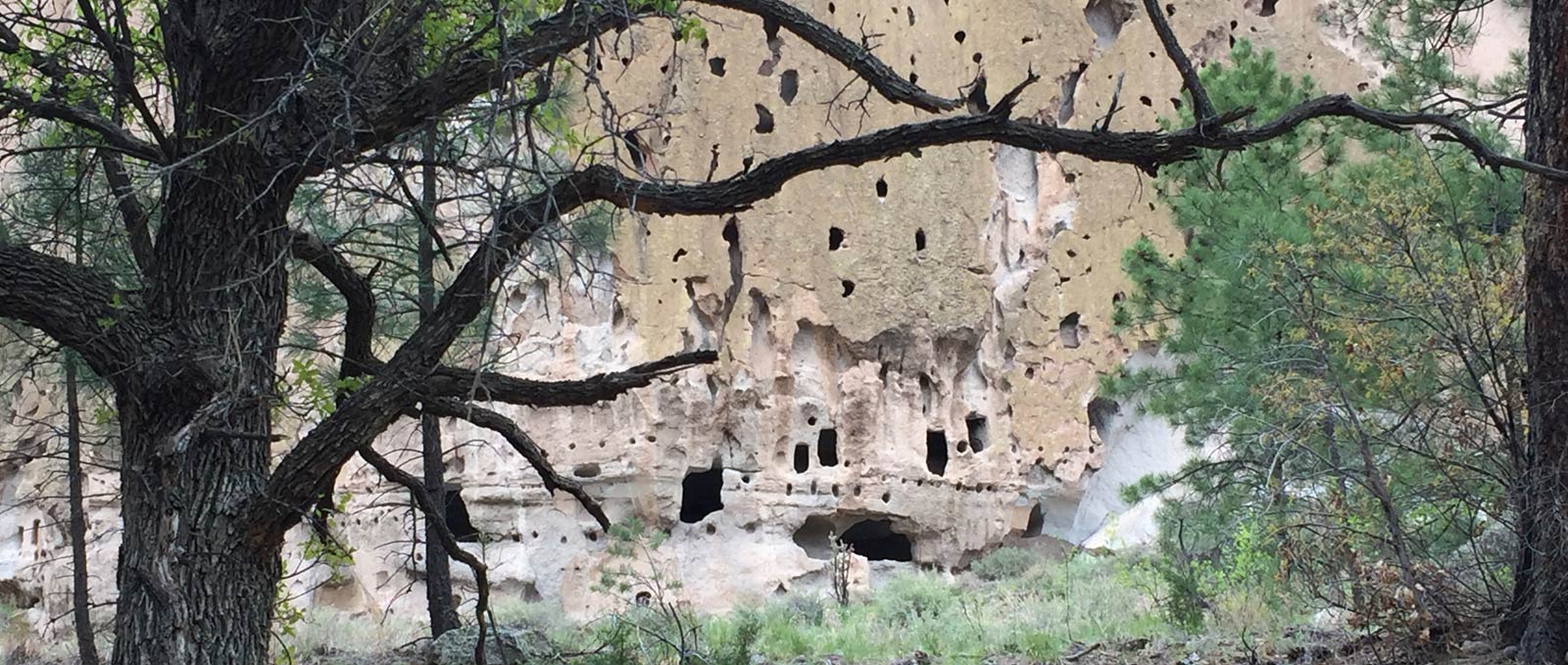 Bandelier Cliff Dwellings through Trees
